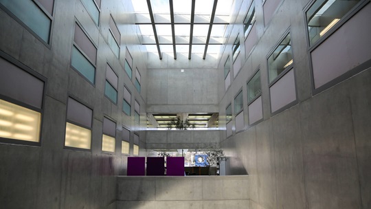 Vollzugs- und Bewährungsdienst