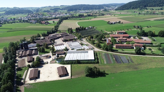 Strafanstalt Wauwilermoos